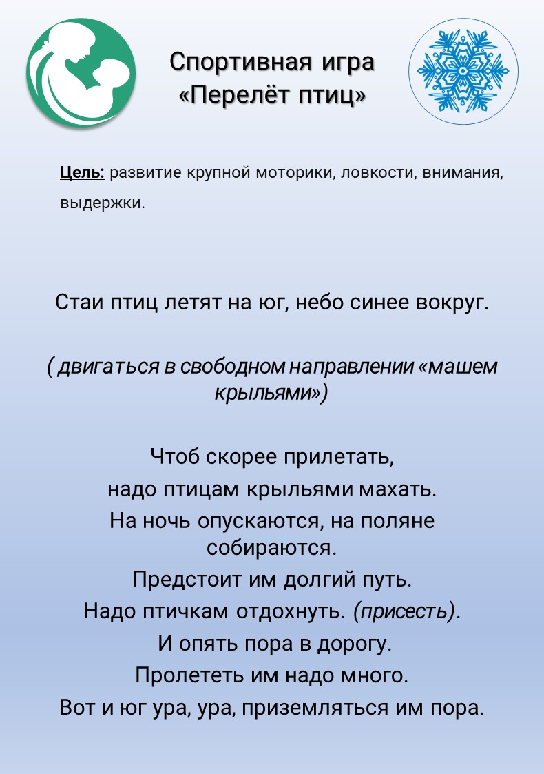 Спортивная игра Перелёт птиц описание