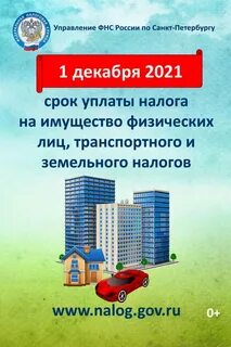 налог